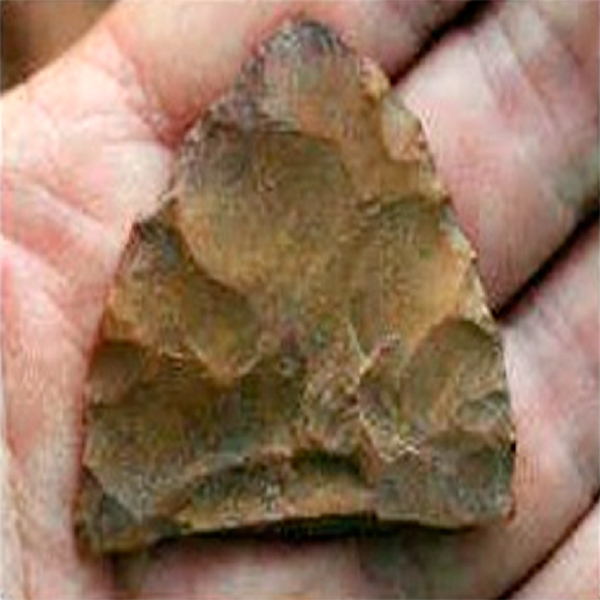 Cultural Diversity in Late Pleistocene/Early Holocene Populations in Northwest South America and Lower Central America